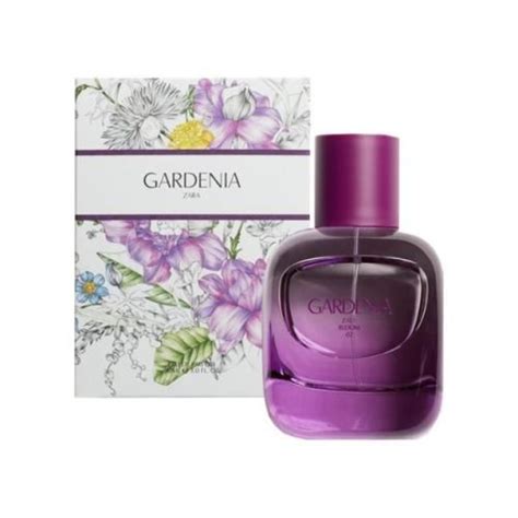 gardenia zara|GARDENIA 90 ML + ORCHID 90 ML 